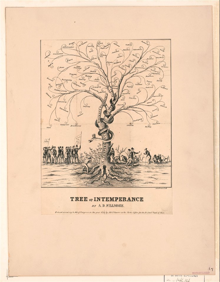 Tree of intemperance - (Archibald) Macbrairs, lith. LCCN2003689279