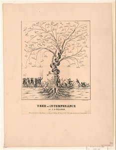 Tree of intemperance - (Archibald) Macbrairs, lith. LCCN2003689279