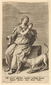 Tribulatio print by Philip Galle, S.I 1727, Prints Department, Royal Library of Belgium