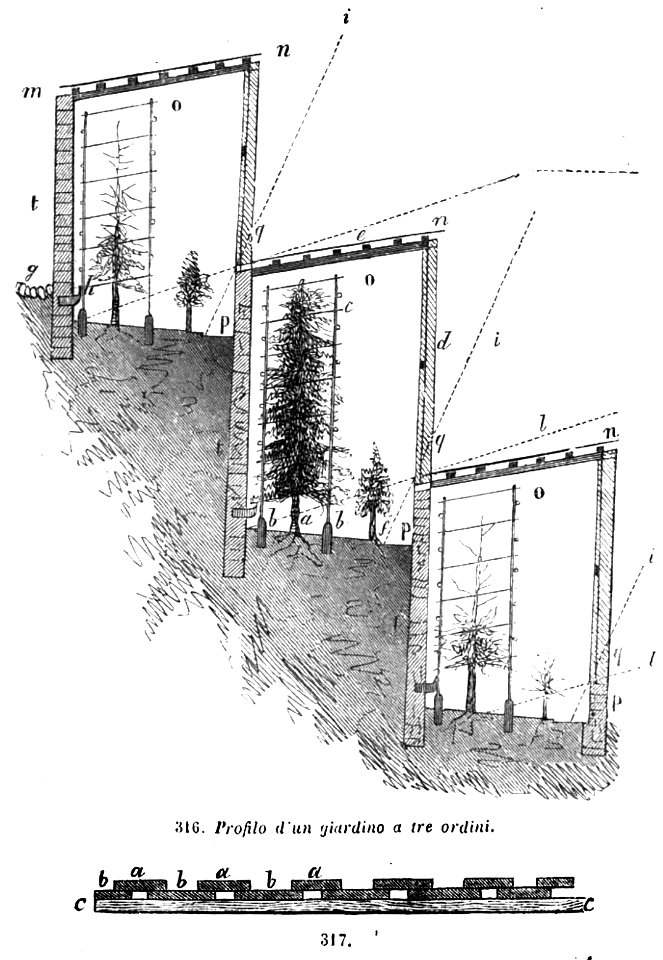 Trattato completo di agricoltura II fig116