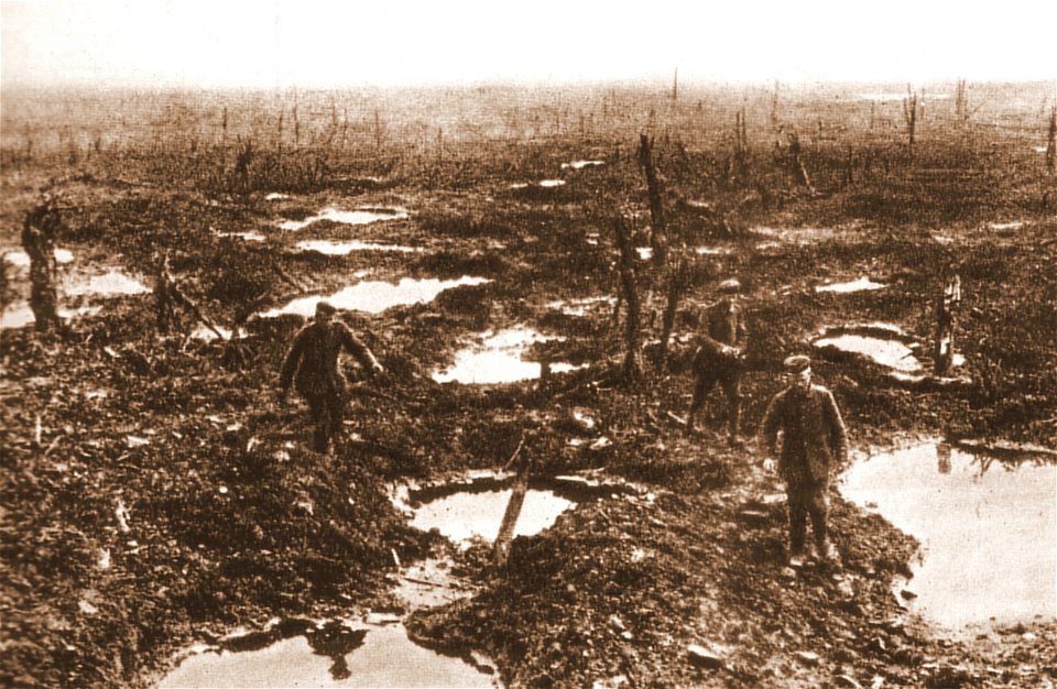 Trichterfeld bei Geluveld in Flandern