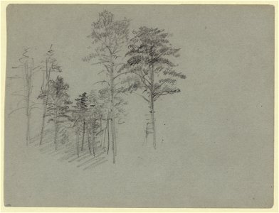 Trees LCCN2004660944