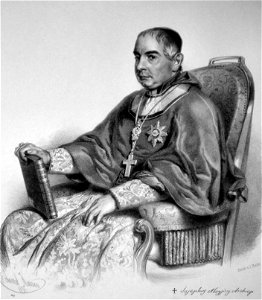 Trevisanato Litho (cropped)