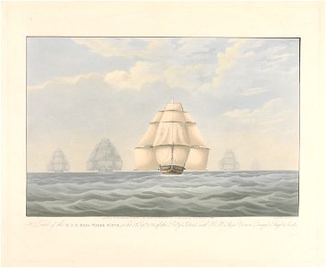 Trial of the R.Y.S. Brig Water Witch on the 5th Septr 1832, off the Scilly Islands with H.M. Ships Vernon, Donegal, Stag and Snake (bow view) RMG PY8636