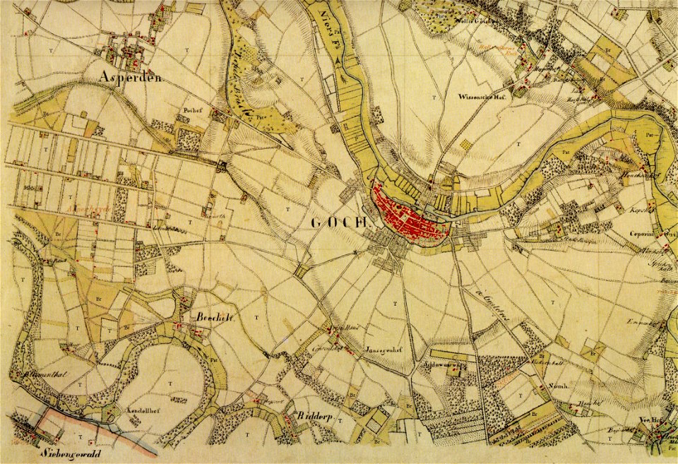 Trk9-Goch C1