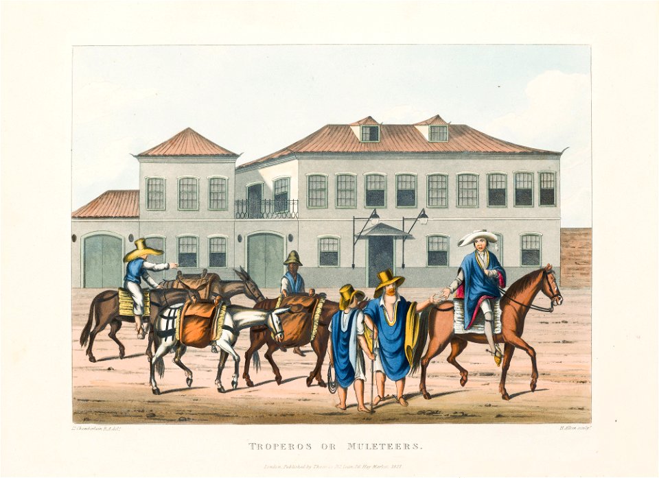Troperos or Muleteers (1), da Coleção Brasiliana Iconográfica