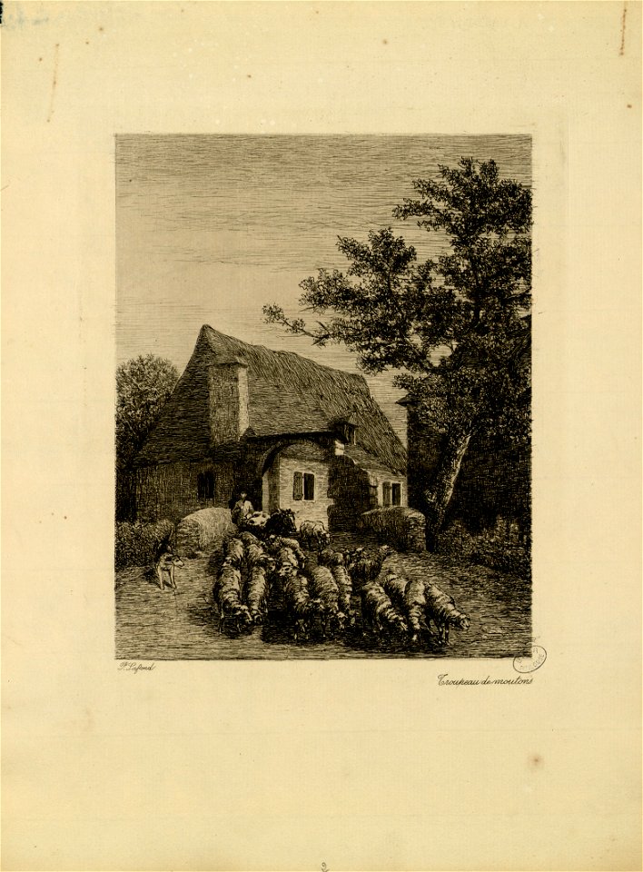 Troupeau de moutons - Fonds Ancely - B315556101 A LAFOND 3 014