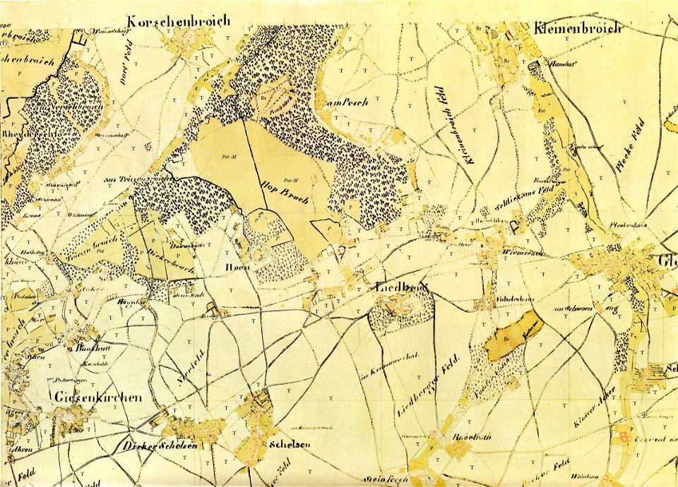 TrK50-Glehn A1