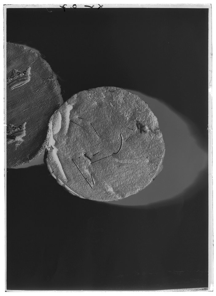 Trumpetfana - pukfana - Livrustkammaren - 10474-negative