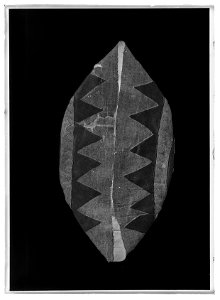 Trumtäcke - Livrustkammaren - 18044-negative