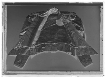 Tröja till pagelivré buren av Gustav II Adolfs pager - Livrustkammaren - 70438-negative
