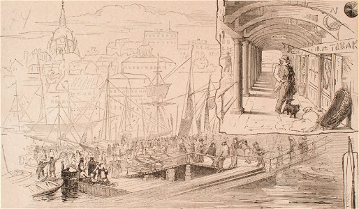 Träsnitt - Sjöhistoriska museet - SB 316
