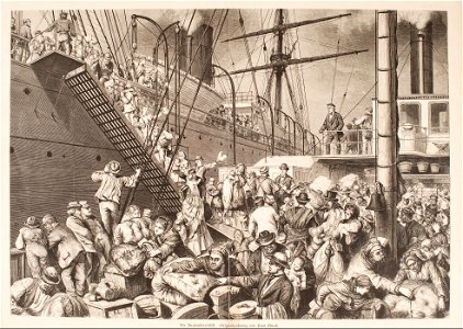 Träsnitt - Sjöhistoriska museet - SB 291