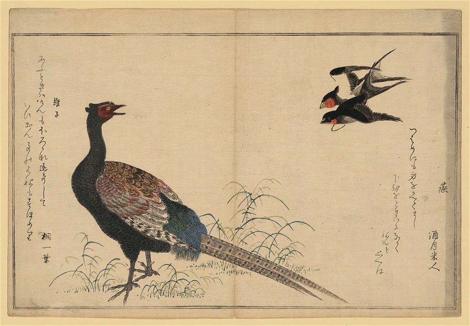 Tsubakura kiji LCCN2008661063
