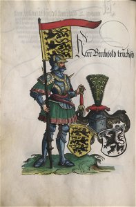 Truchsessenchronik Cod Don 590 144