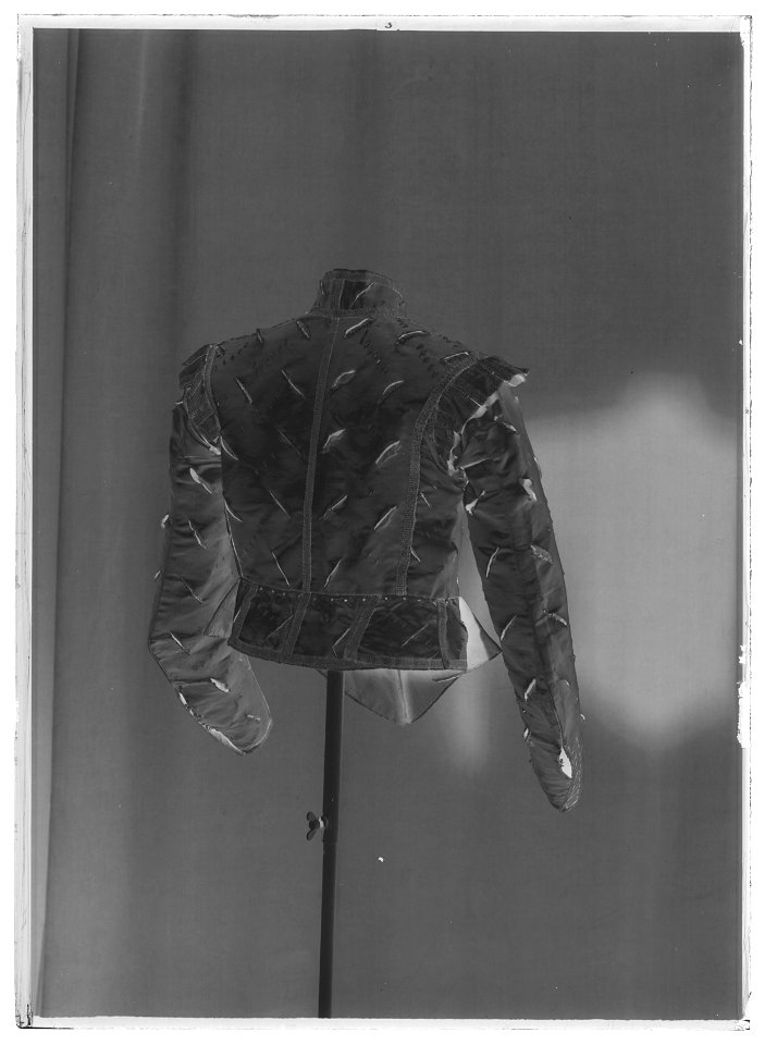 Tröja till pagelivré buren av Gustav II Adolfs pager - Livrustkammaren - 61876-negative
