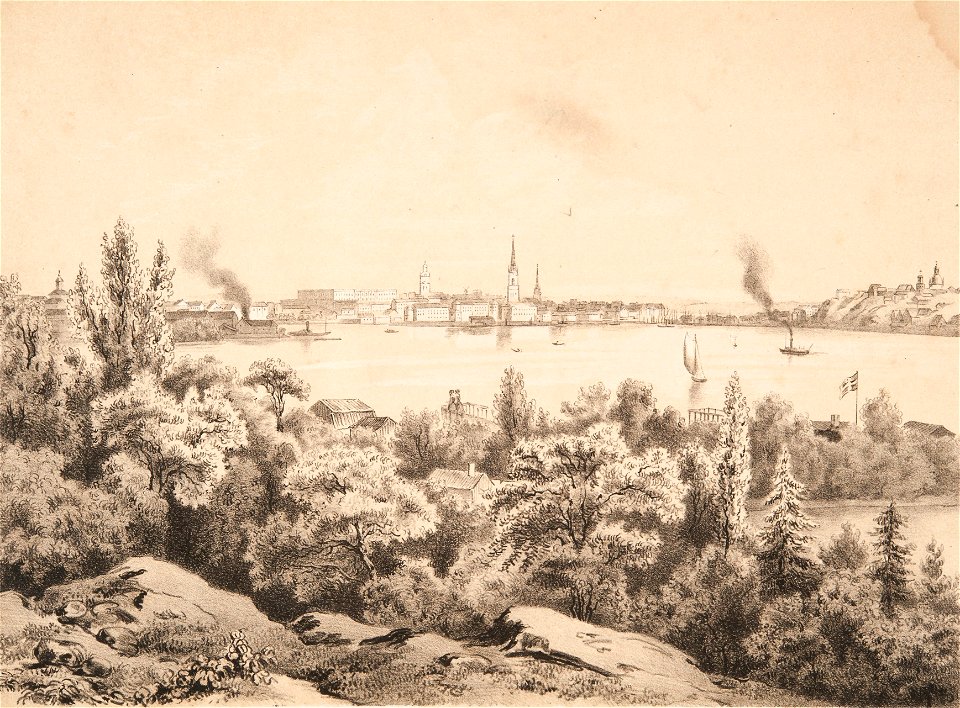 Träsnitt - Sjöhistoriska museet - SB 311