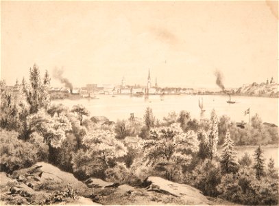 Träsnitt - Sjöhistoriska museet - SB 311