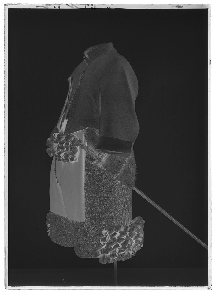 Tröja av mönstrad silverbrokad, ca 1650-1660 - Livrustkammaren - 10304-negative