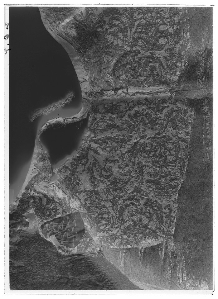 Tröja av mönstrad silverbrokad, ca 1650-1660 - Livrustkammaren - 44530-negative