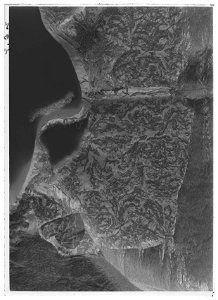 Tröja av mönstrad silverbrokad, ca 1650-1660 - Livrustkammaren - 44530-negative