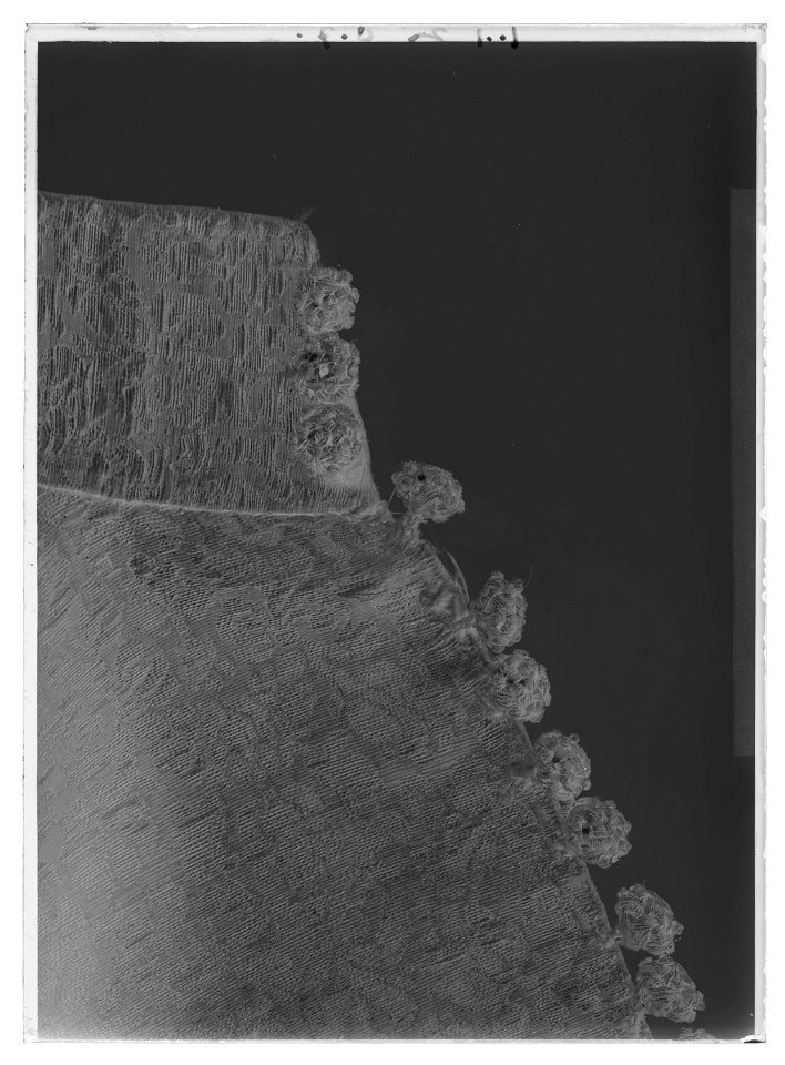 Tröja av mönstrad silverbrokad, ca 1650-1660 - Livrustkammaren - 53021-negative