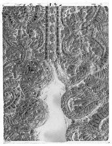 Tröja av mönstrad silverbrokad, ca 1650-1660 - Livrustkammaren - 62474-negative
