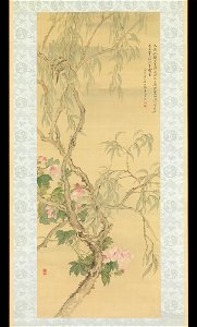 Tsubaki Chinzan - Small Birds on a Willow Branch and Hibiscus Blossoms - 1975.268.117 - Metropolitan Museum of Art