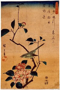 Tsubaki ni Uguisu