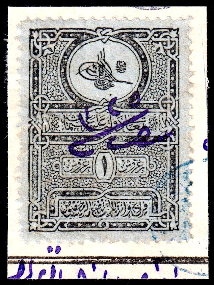 Turkey 1891 Revenue Sul5179