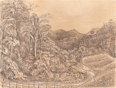 Turn of the Road - Presidencia Petropolis 20th Janº 1855, da Coleção Brasiliana Iconográfica