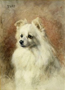 Turi by Frances C. Fairman