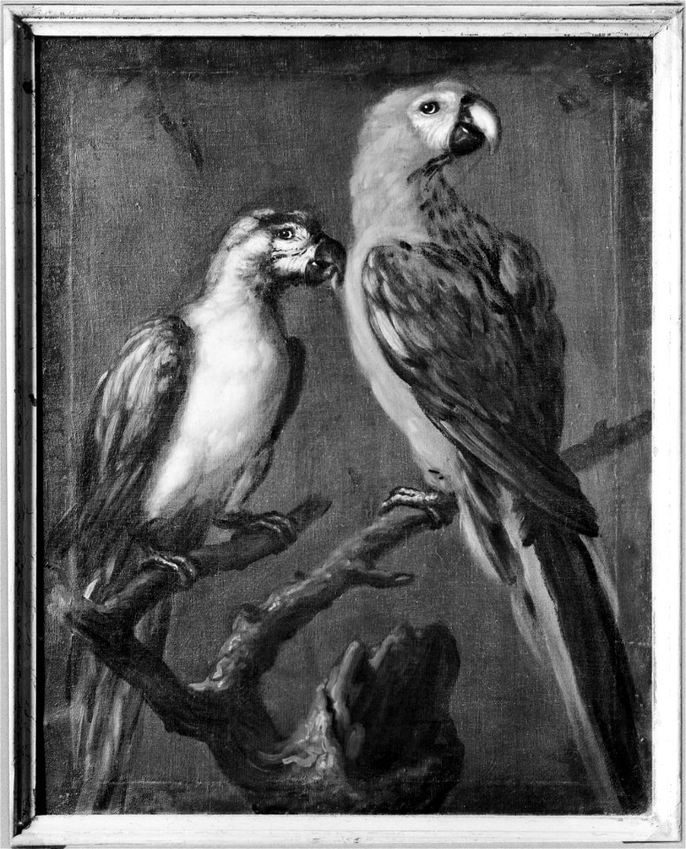 Två papegojor (David Klöcker Ehrenstrahl) - Nationalmuseum - 113790