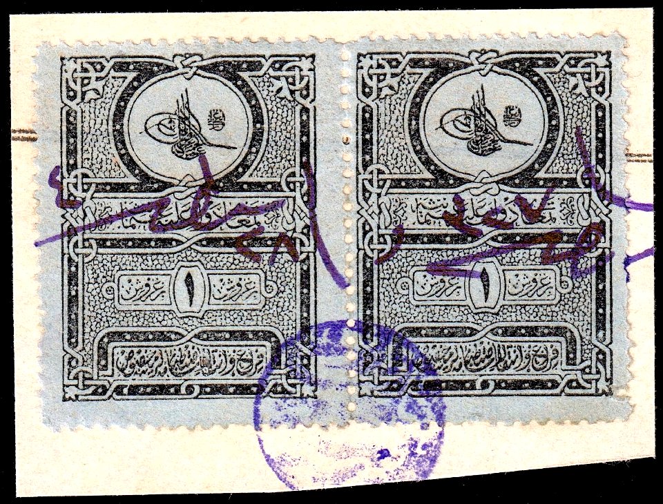 Turkey 1891 Revenue Sul 5179 pair