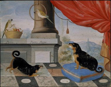 Två hundar och två papegojor på en altan (Philip Thelott d.y.) - Nationalmuseum - 15984