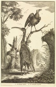 Twee vogels- een paradijsvogel en een Ambonse Langbek