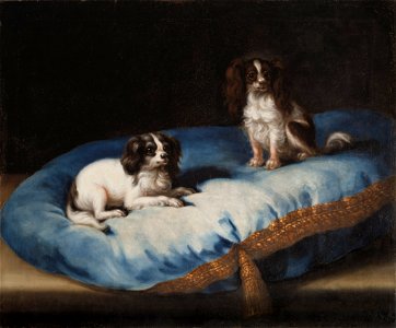 Två mindre hundar (David Klöcker Ehrenstrahl) - Nationalmuseum - 15504. Free illustration for personal and commercial use.