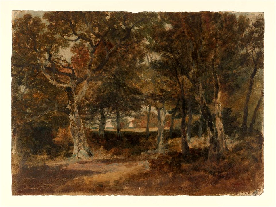 Turner - Chevening Park, c.1801, D05957 - Free Stock Illustrations ...