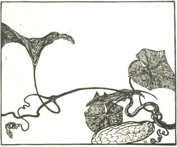 TweeHannen-28
