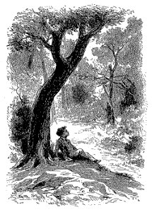 Twain - Les aventures de Tom Sawyer, trad Hughes, illust Sirouy, 1884, illust page 070