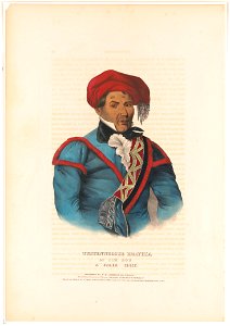 Tustennuggee Emathla or Jim Boy, a Creek chief - drawn, printed and coloured at I. T. Bowen's lithographic establishment, No. 94 Walnut St. LCCN2004675104
