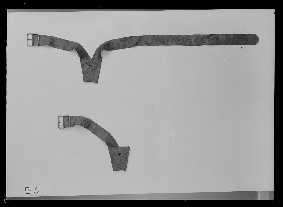 Två axelgehäng - Livrustkammaren - 35194