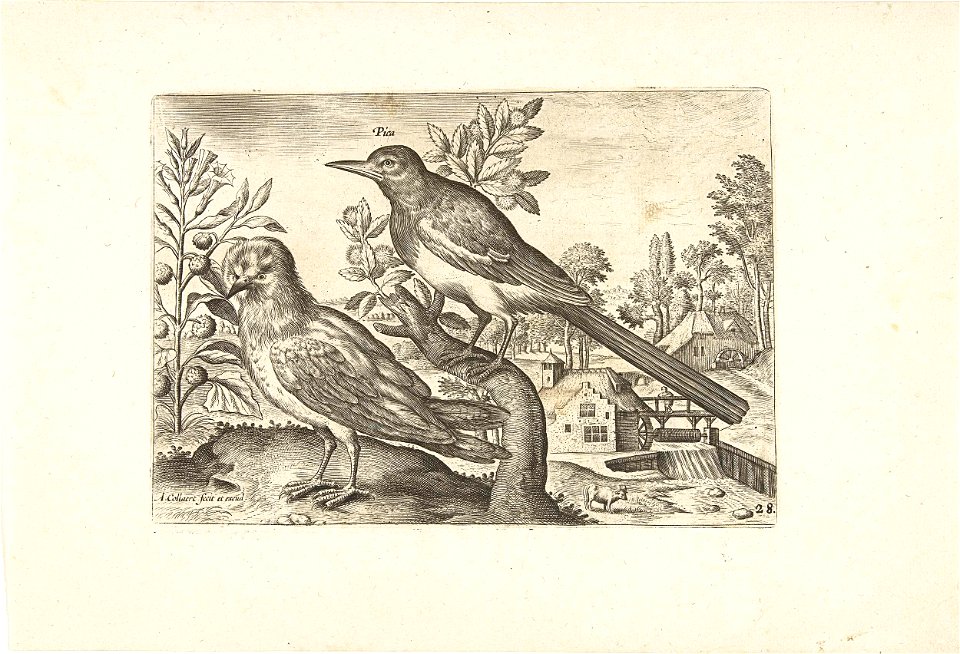 Twee vogels in een landschap - Free Stock Illustrations | Creazilla