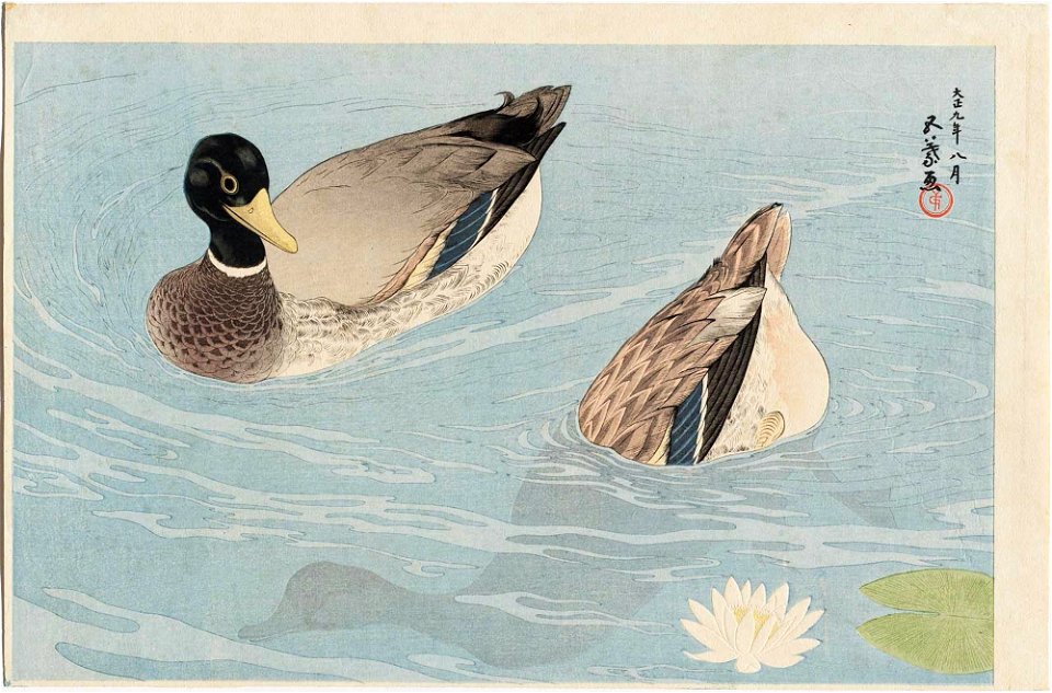 Two Ducks by Hashiguchi Goyō