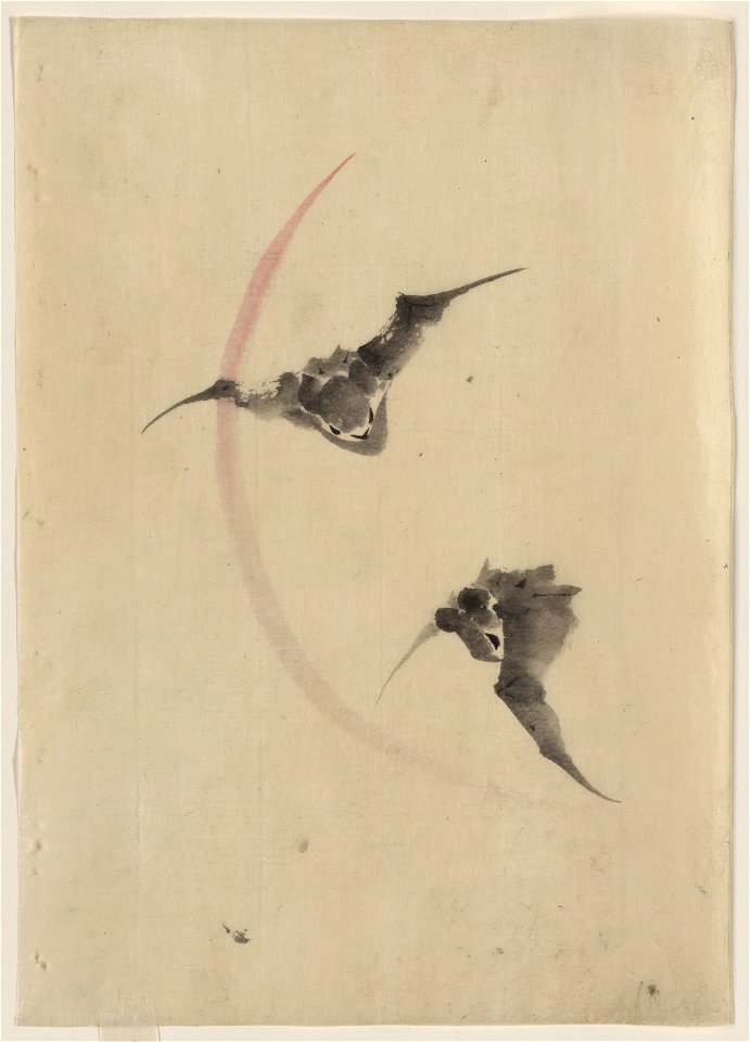 Two bats flying LCCN2009631952