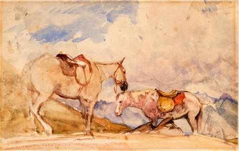 Two Horses P3789