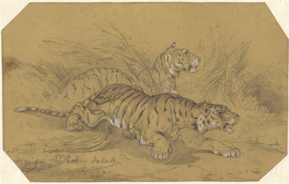 Twee tijgers sluipend door het gras, Raden Sarief Bastaman Saleh, 1824 - 1880 - Rijksmuseum