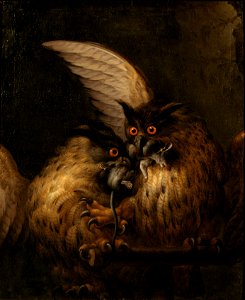 Two Owls Fighting over a Rat (Hans Georg Müller) - Nationalmuseum - 22387