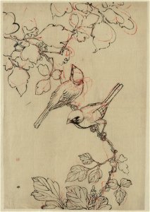 Two birds perched on grapevines LCCN2008680224