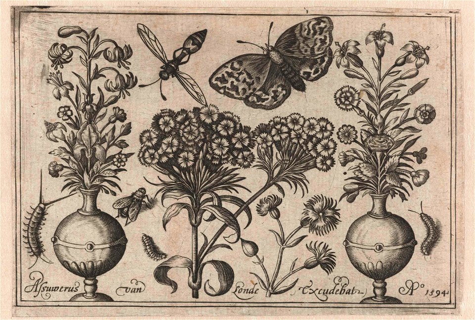 Twee vazen met bloemen, vlinder en rupsen